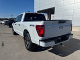 New 2025 Ford F150 STX w/ Equipment Group 200A image 3