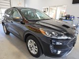 Certified 2022 Ford Escape SE image 3