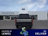 New 2025 Ford F250 Platinum image 6