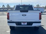 New 2025 Ford F150 STX w/ Equipment Group 200A image 4