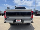 New 2025 Ford F250 Platinum image 5