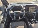 New 2025 Ford F150 STX w/ STX Black Appearance Package image 4