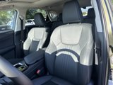 Used 2024 Lexus NX 350h AWD w/ Premium Package image 3