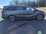 New 2025 Honda Odyssey Elite image 4