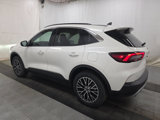 Used 2024 Ford Escape SE image 5