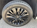 Certified 2025 INFINITI QX80 Sensory w/ Premium Cargo Package image 5