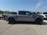 New 2025 Ford F150 Platinum image 2