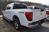 New 2025 Ford F150 XLT w/ Equipment Group 301A Standard image 6