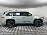 New 2025 Toyota Sequoia Platinum image 4