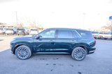 New 2025 Hyundai Palisade Calligraphy image 5