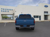 New 2025 Ford F150 XLT w/ Equipment Group 303A High image 5