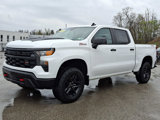 Certified 2023 Chevrolet Silverado 1500 Custom Trail Boss image 3
