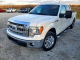 Used 2014 Ford F150 XLT w/ Equipment Group 302A Luxury image 3