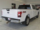 Used 2019 Ford F150 XLT w/ Equipment Group 301A Mid image 4