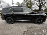 New 2025 Hyundai Palisade Calligraphy image 5