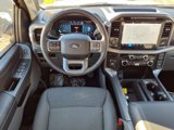 New 2025 Ford F150 XLT w/ Equipment Group 302A MID image 3