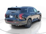 New 2025 Hyundai Palisade Calligraphy image 2