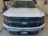 New 2025 Ford F150 XLT image 2