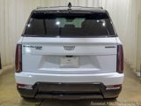 New 2026 Cadillac Escalade IQL Sport 1 w/ LPO, ONYX Package image 5