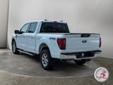 Used 2024 Ford F150 XLT w/ Mobile Office Package image 5