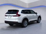 New 2025 Honda CR-V EX-L image 5