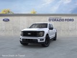 New 2025 Ford F150 XLT image 2