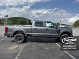 New 2025 Ford F250 XL w/ STX Appearance Package image 4