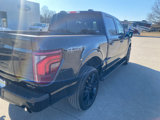 New 2025 Ford F150 Lariat w/ Equipment Group 502A High image 2