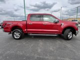 New 2025 Ford F150 XLT w/ Equipment Group 302A MID image 6