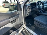 New 2025 Ford F150 XLT w/ Equipment Group 302A MID image 6