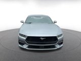 Used 2024 Ford Mustang Premium image 4