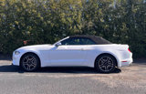 Used 2021 Ford Mustang Premium image 4