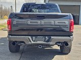Used 2019 Ford F150 Raptor image 4