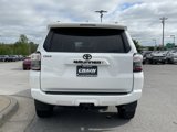 Used 2024 Toyota 4Runner SR5 Premium image 6