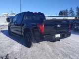 New 2025 Ford F150 XLT w/ Equipment Group 302A MID image 5
