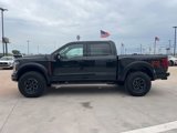 Used 2025 Ford F150 Raptor w/ Equipment Group 803A Raptor R image 4