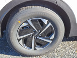 New 2025 Kia Sportage LX image 4