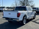 New 2025 Ford F150 XLT w/ Equipment Group 302A MID image 4