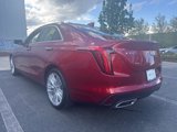 Certified 2024 Cadillac CT4 Premium Luxury w/ Super Cruise 2 Package image 3