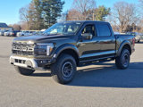 New 2025 Ford F150 Raptor image 3