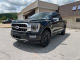 Used 2023 Ford F150 Platinum image 2