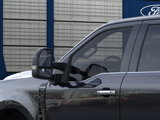New 2025 Ford F250 Platinum image 4