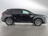 New 2025 Lexus RX 350 image 6