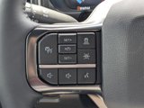 New 2025 Ford F250 Platinum image 5