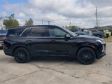 New 2025 Hyundai Palisade Calligraphy image 4