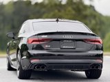 Used 2019 Audi S5 Premium Plus w/ Premium Plus image 4