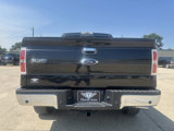 Used 2014 Ford F150 XLT w/ Equipment Group 302A Luxury image 5