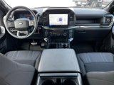 New 2025 Ford F150 STX w/ Equipment Group 200A image 5