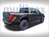 New 2025 Ford F150 Raptor image 3