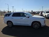 New 2025 Hyundai Palisade Calligraphy image 5